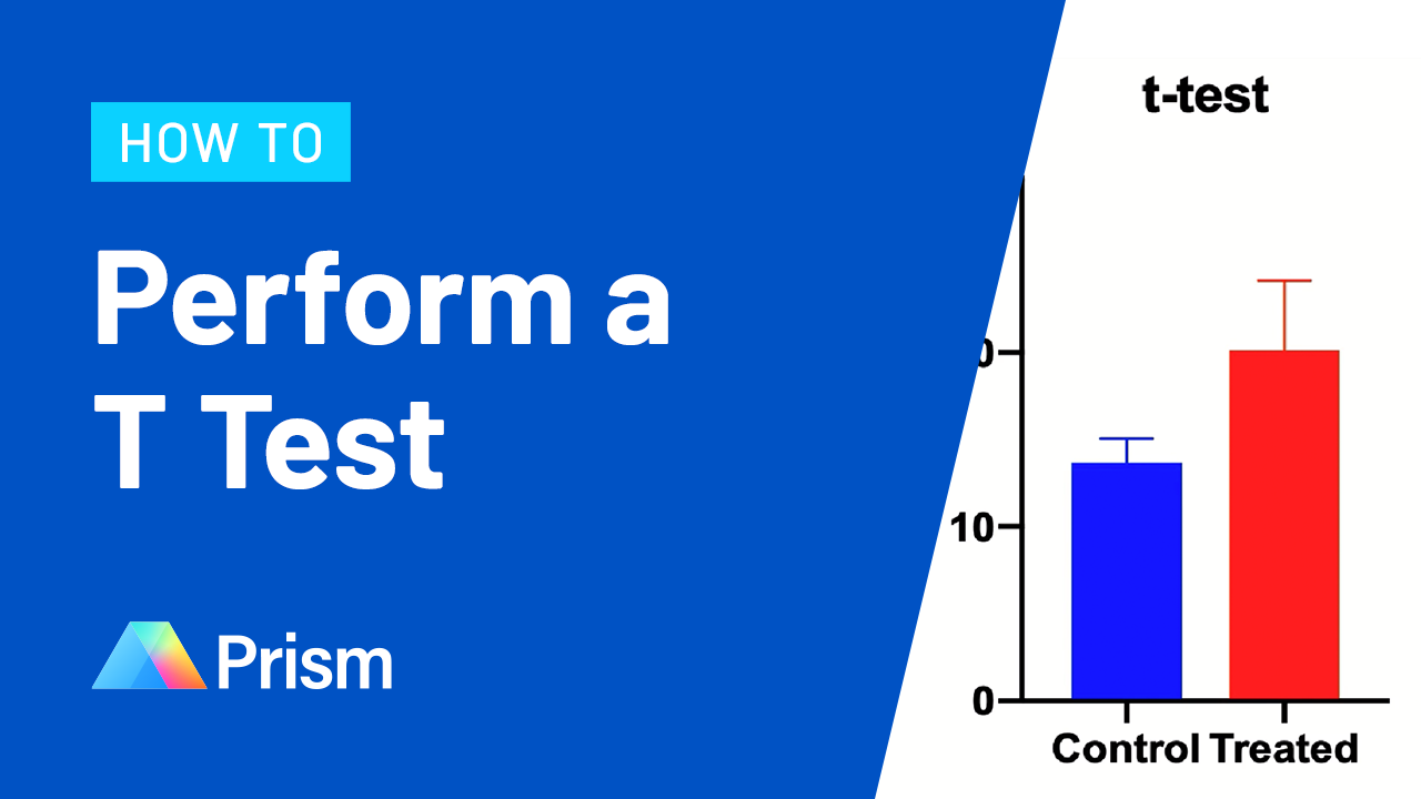 statplus paired t test